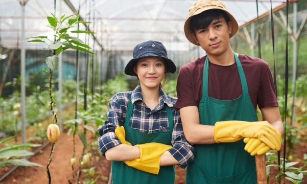 Xuất khẩu lao động Canada: Bí mật đằng sau những lời hứa